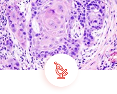 DR. MENGHANI'S ADVANCED DIAGNOSTIC CENTRE