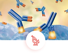 DR. MENGHANI'S ADVANCED DIAGNOSTIC CENTRE